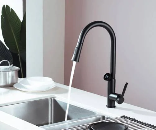 DG16057-S — Kitchen mixer