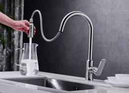 Kitchen mixer Chrome DG00551