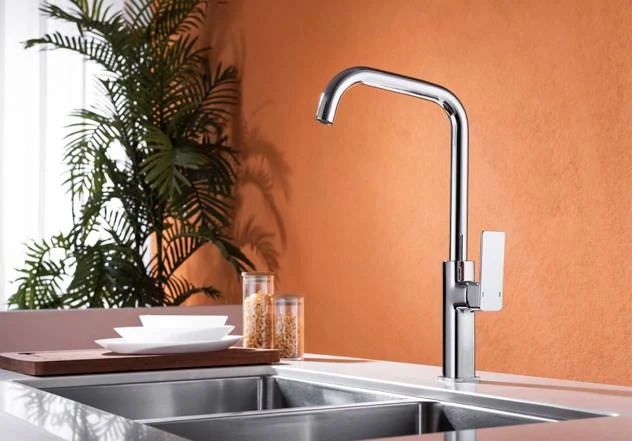 Kitchen mixer Chrome DG21150