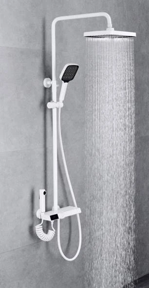 Thermostatic Shower set Frosted white DG10045-S-HW-MSB
